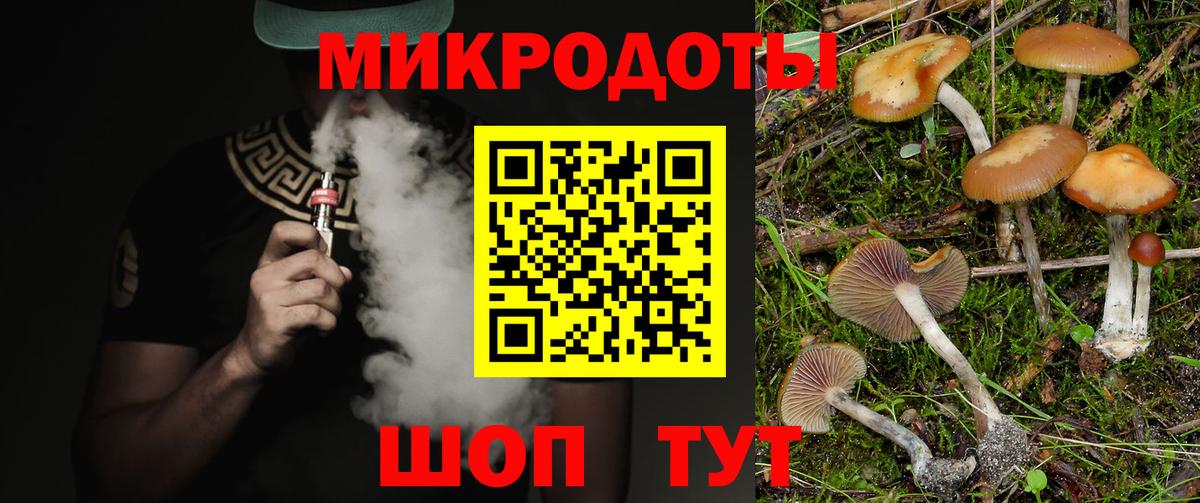  COCAIN Лесосибирск