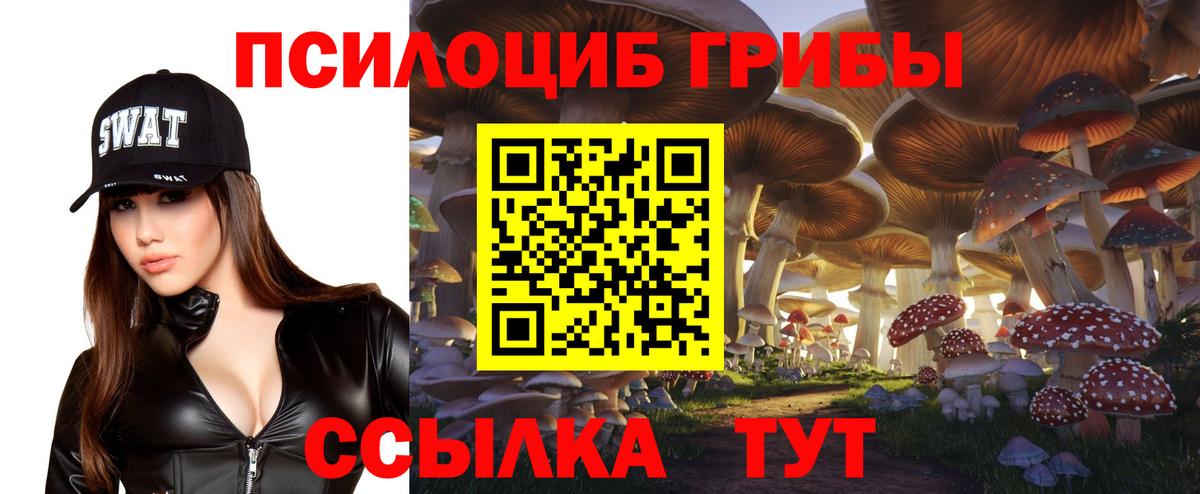 Галлюциногенные грибы Cubensis  Вход с VPN  Лесосибирск 