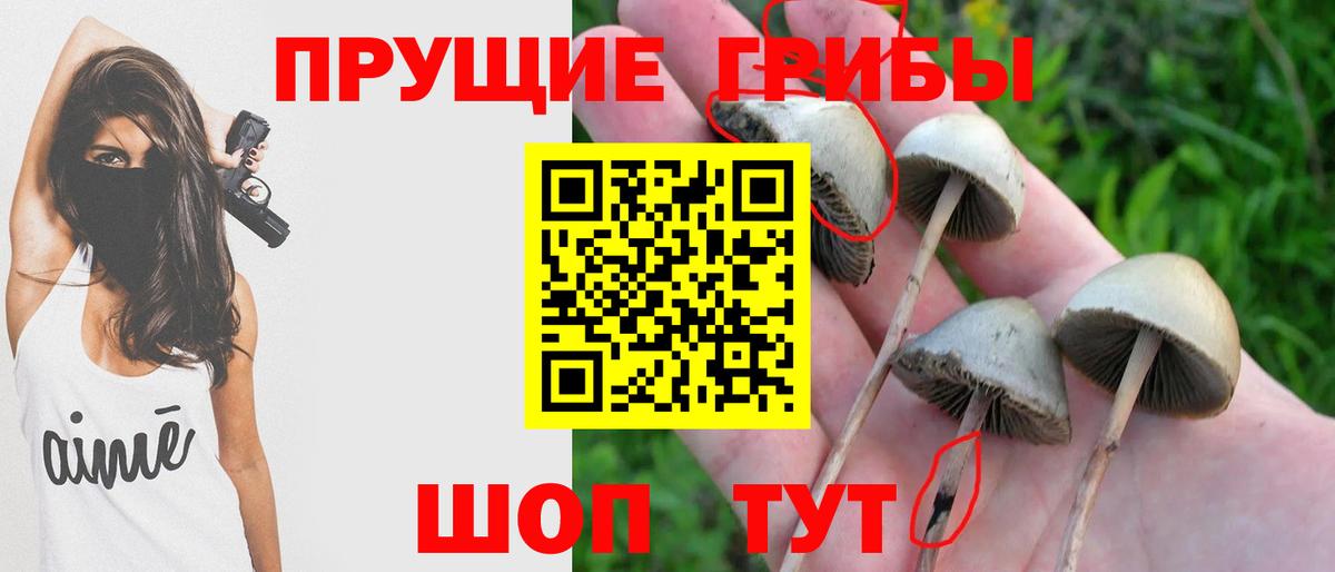 Псилоцибиновые грибы прущие грибы Лесосибирск
